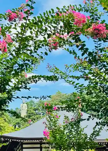 塩船観音寺(東京都)