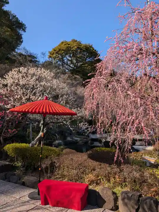 長谷寺(神奈川県)