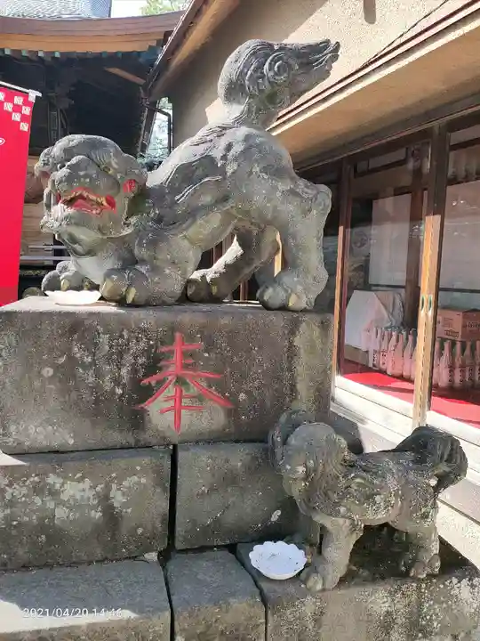清瀧神社の狛犬