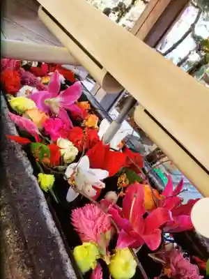 鳩森八幡神社の手水舎