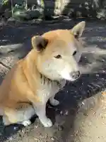 笠䅣稲荷神社(神奈川県)