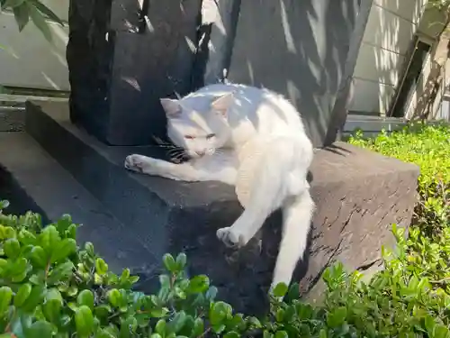 城岡神社の動物