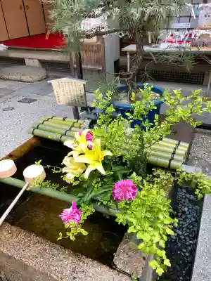 錦天満宮の{uncategorized: "未分類", other: "その他", undefined: "問題あり", building: "その他建物", grave: "お墓", sacred_gate: "鳥居", guardian: "狛犬", statue: "像", buddha: "仏像", history: "歴史", nature: "自然", garden: "庭園", animal: "動物", pagoda: "塔", temizu: "手水舎", mountain_gate: "山門・神門", sanctuary: "本殿・本堂", subordinate: "末社・摂社", art: "芸術", scenery: "景色", jizo: "地蔵", ema: "絵馬", goshuin: "御朱印", omikuji: "おみくじ", items: "授与品その他", amulet: "お守り", goshuincho: "御朱印帳", eats: "食事", festival: "お祭り", votive_dance: "神楽", shichigosan: "七五三参", wedding: "結婚式", experience: "体験その他", initially: "初詣", around: "周辺", anti_infection: "感染症対策"}