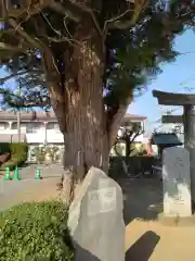 駒形神社(千葉県)