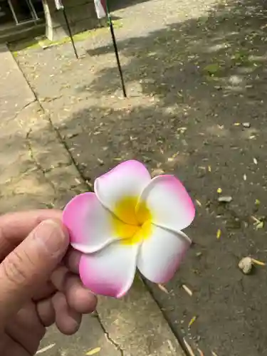 熊野神社のおみくじ