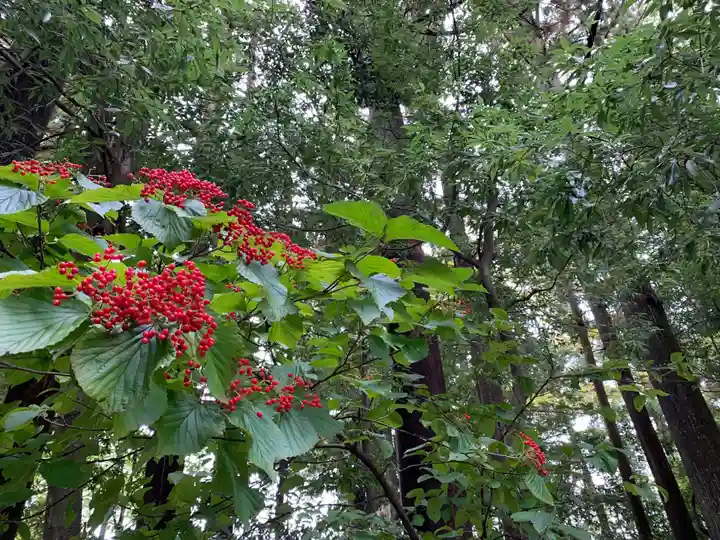 雄山神社前立社壇(富山県)