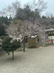 金蛇水神社(宮城県)