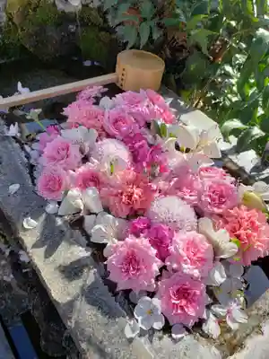 本郷氷川神社(東京都)