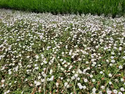 駒方神社の自然