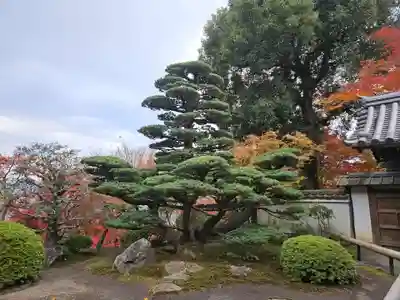 華厳寺（鈴虫寺）(京都府)