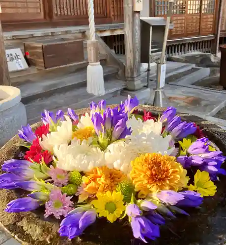 真言宗　善通寺派　薬王寺(香川県)