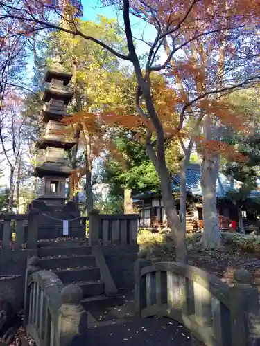 妙法寺の塔