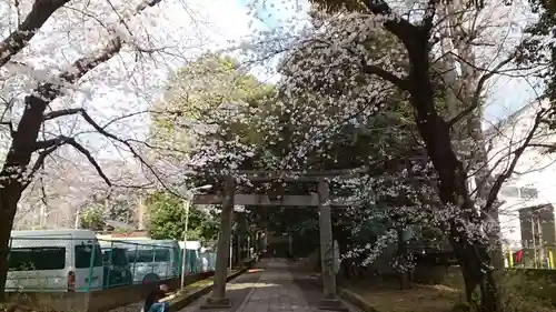 渋谷氷川神社(東京都)