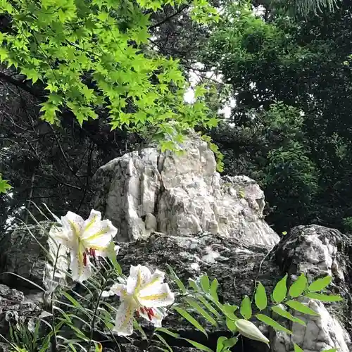 鹿島大神宮の自然