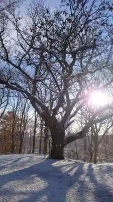相馬神社(北海道)
