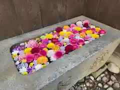 菅生神社の手水