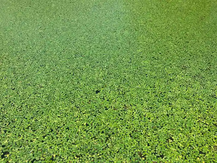 涼ケ岡八幡神社(福島県)