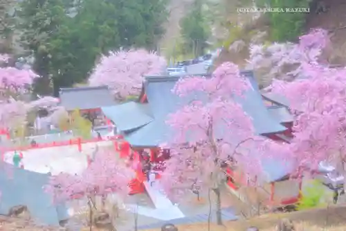 金櫻神社(山梨県)
