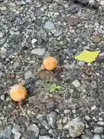 伊勢の国 四天王寺の動物