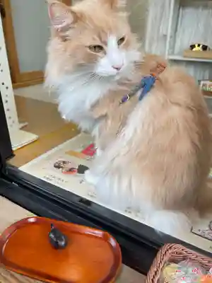 駒込妙義神社(東京都)