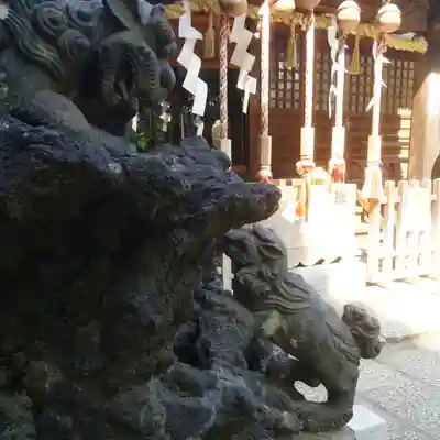 平塚神社の狛犬