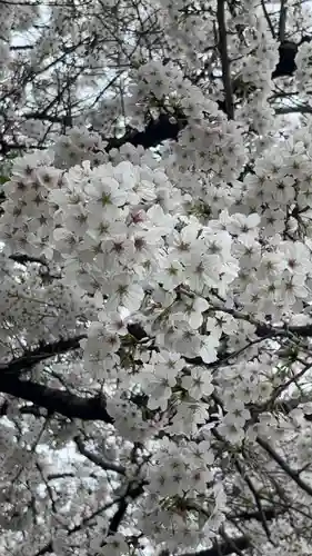 日蓮宗　浄運寺(東京都)