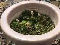 木舟山 順教寺(広島県)