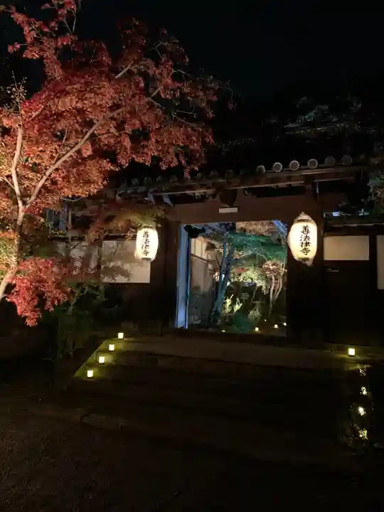 善法律寺の景色
