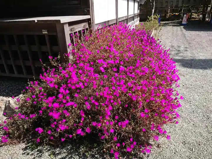 實相寺(実相寺)の自然