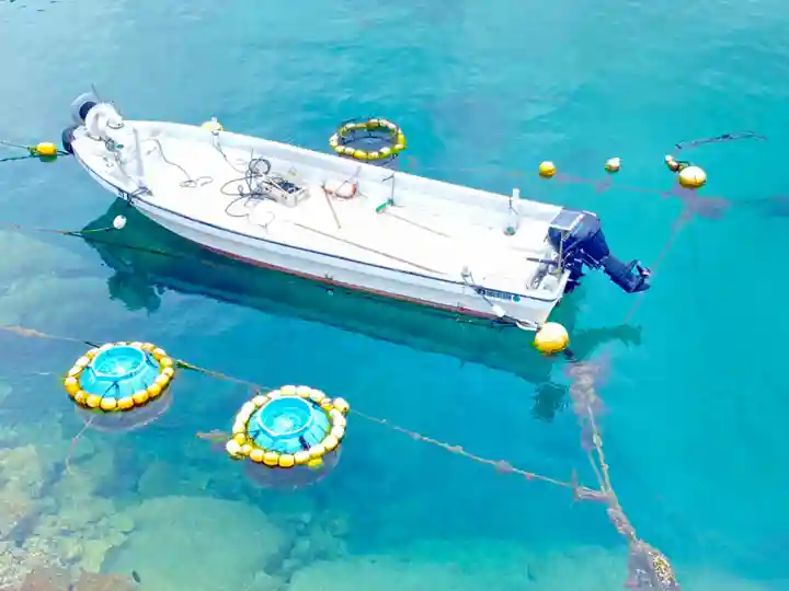 柏島稲荷神社(高知県)