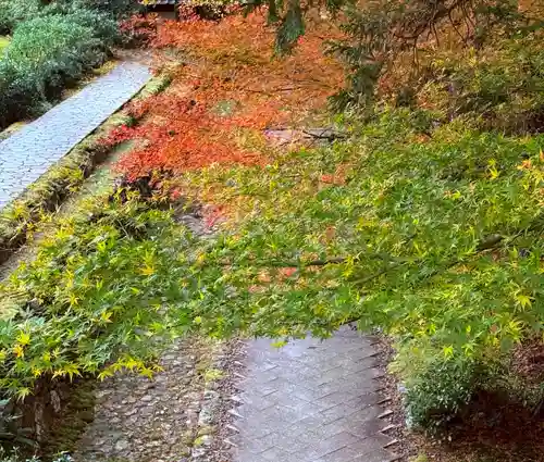 明通寺(福井県)