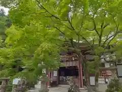 若山神社(大阪府)