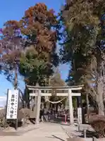 薬師寺八幡宮の鳥居