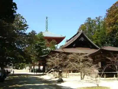 高野山金剛峯寺(和歌山県)