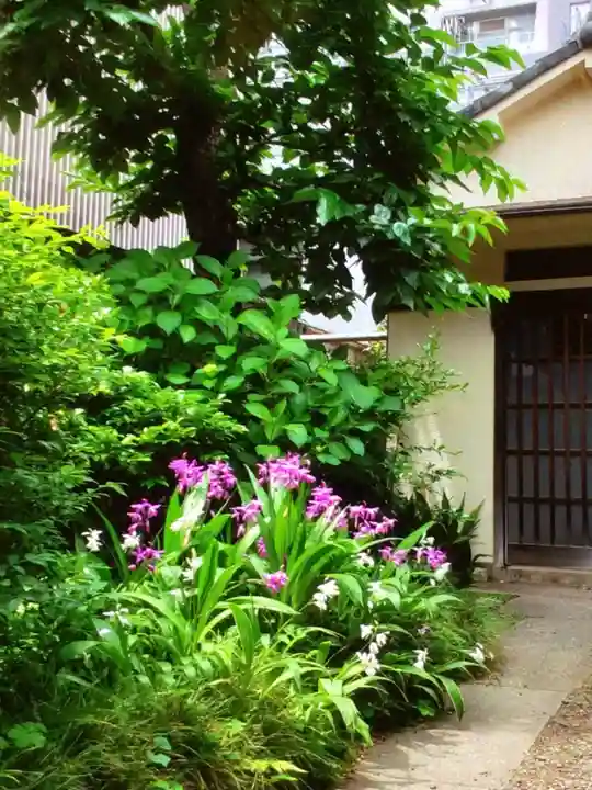 四谷於岩稲荷田宮神社(東京都)