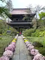 青龍山 吉祥寺の山門・神門
