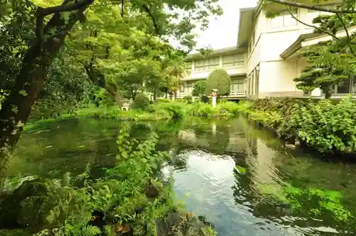 富士山本宮浅間大社(静岡県)