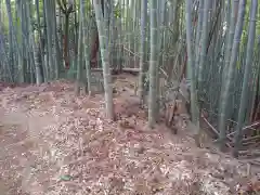 松尾神社の周辺