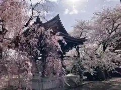 浄心寺(東京都)