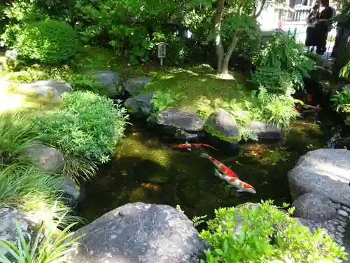 長谷寺の庭園