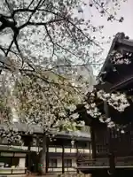 熊野神社(東京都)