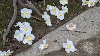 大豊神社(京都府)