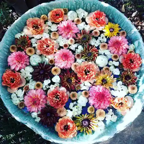 行田八幡神社の手水舎