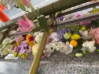 生田神社(兵庫県)