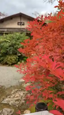 光悦寺(京都府)