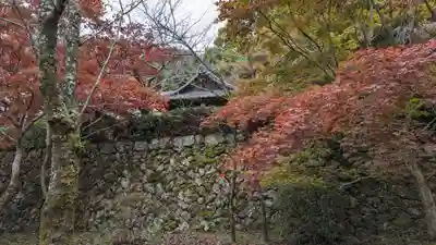 勝持寺（花の寺）(京都府)