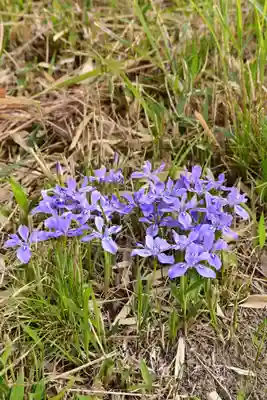 鎌大師堂(愛媛県)