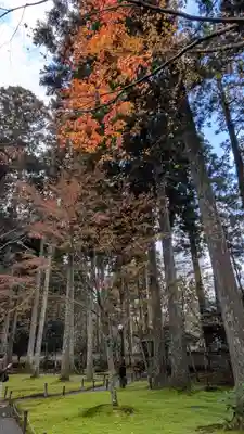 三千院門跡(京都府)