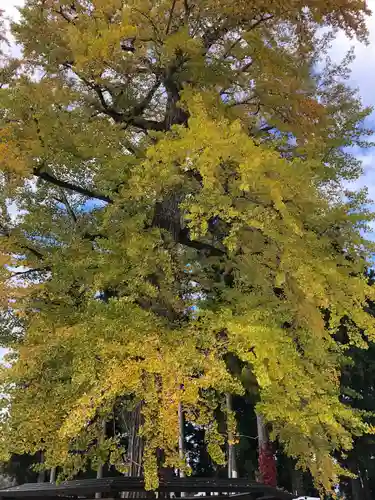 秋保神社(宮城県)