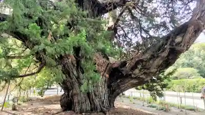 建長寺(神奈川県)